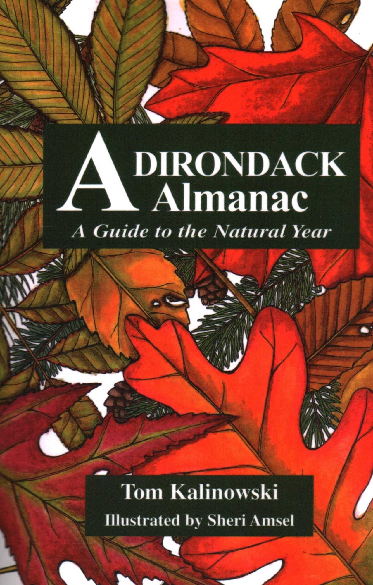 Adirondack Almanac: A Guide to the Natural Year