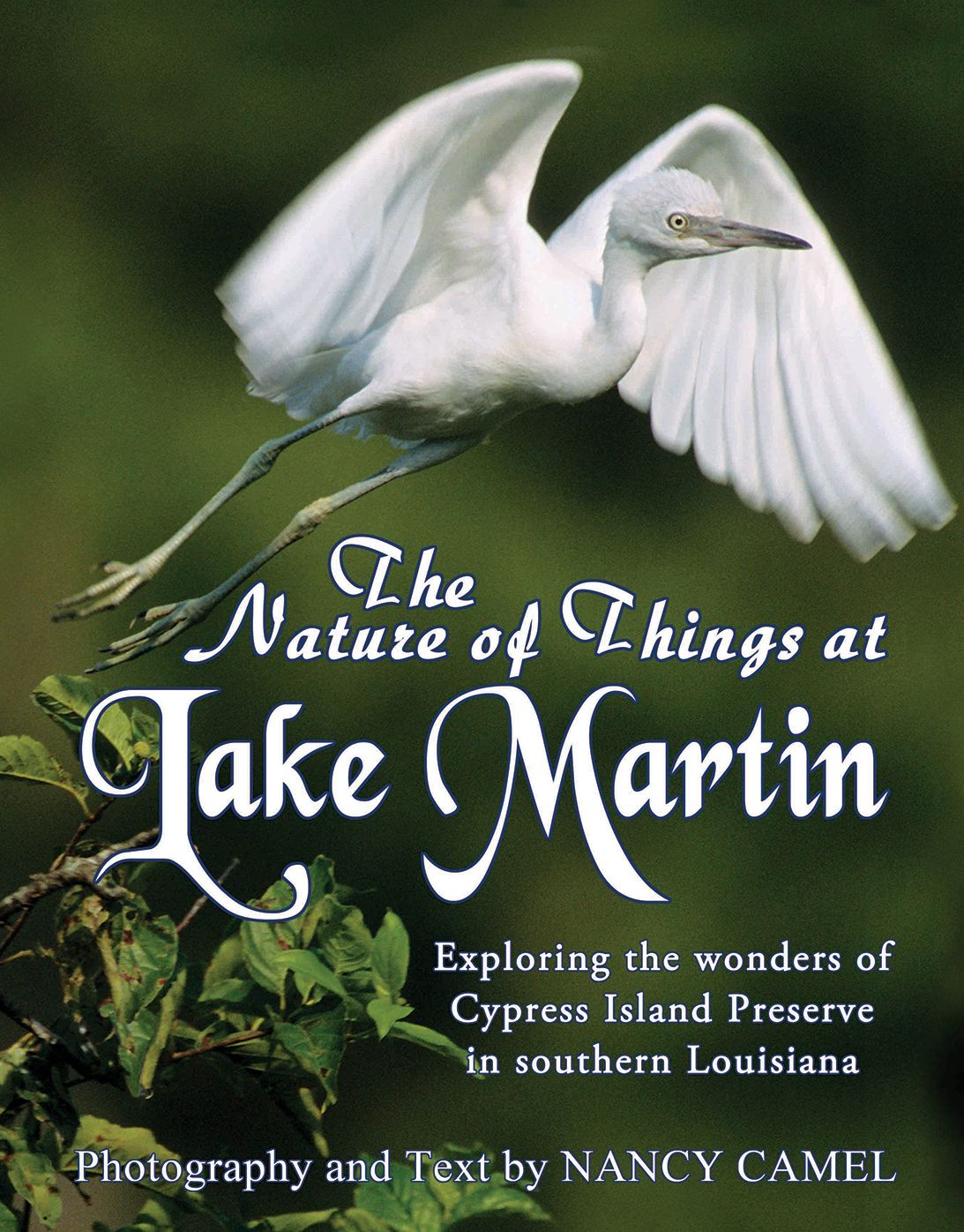 The Nature of Things at Lake Martin: Exploring the Wonder of Cypress Island Preserve in Southern Louisiana