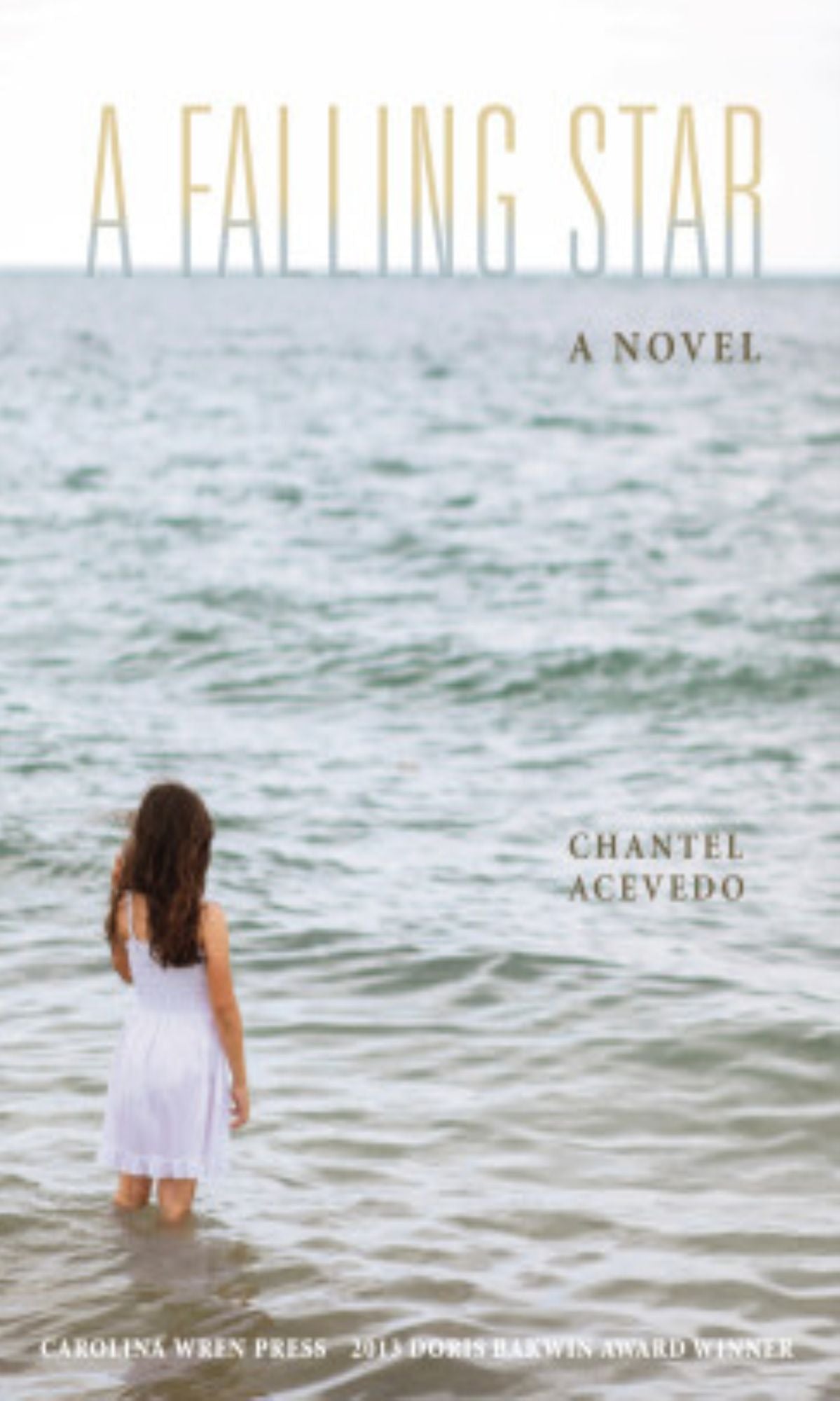 A Falling Star: A Novel