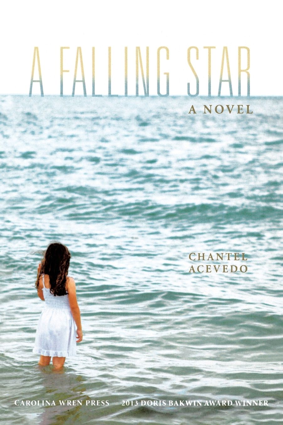 A Falling Star : A Novel