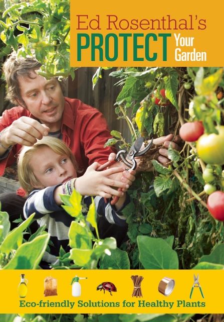 Protect Your Garden: Eco-Friendly Solutions for Healthy Plants