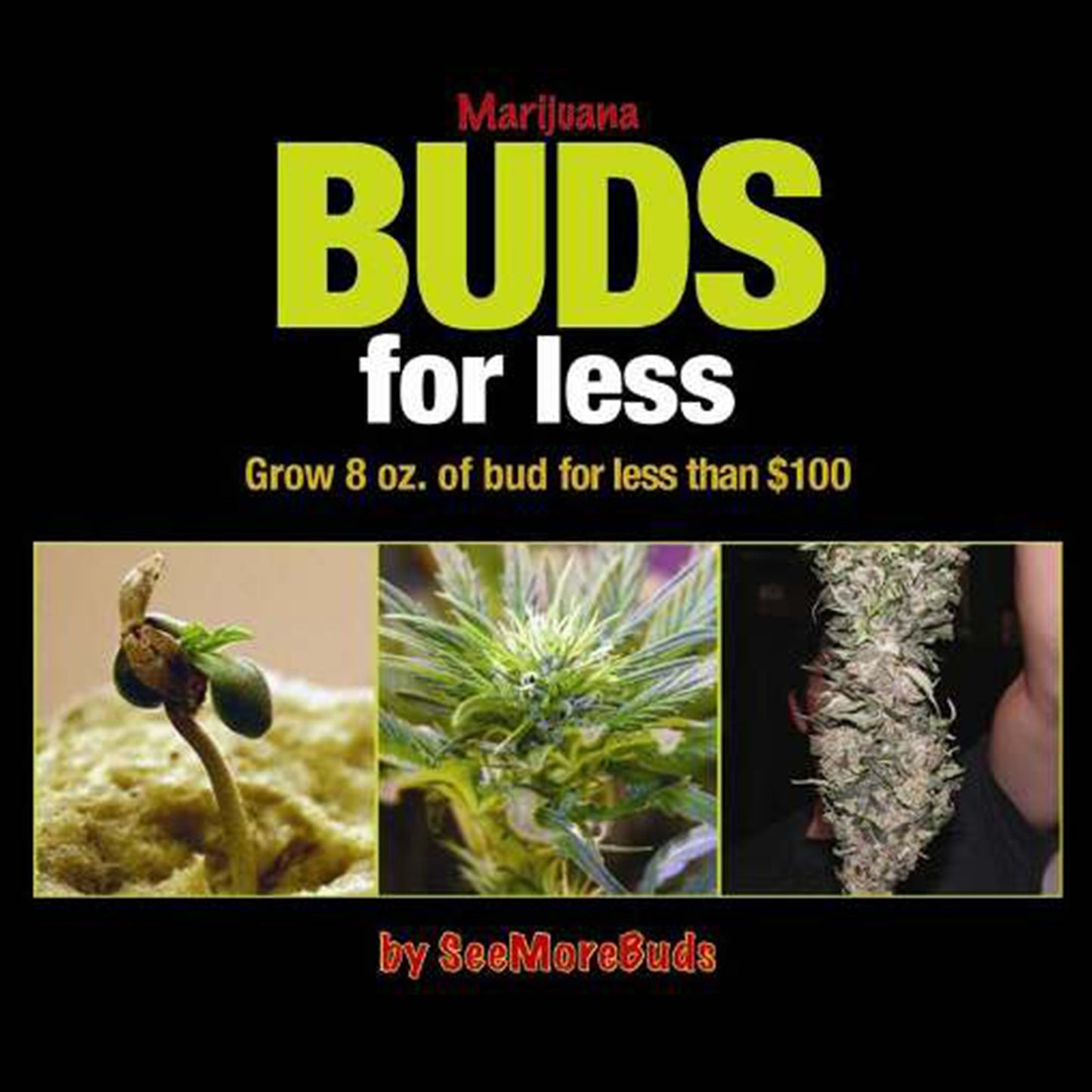 Buds for Less: Grow Eight Ounces of Marijuana on a $50 Budget