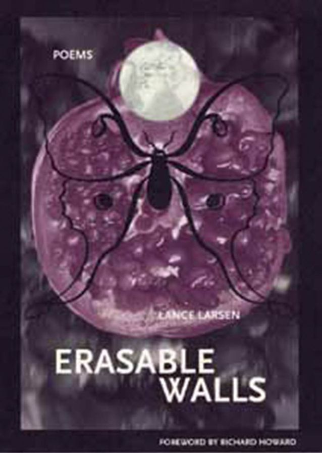 Erasable Walls: Poems