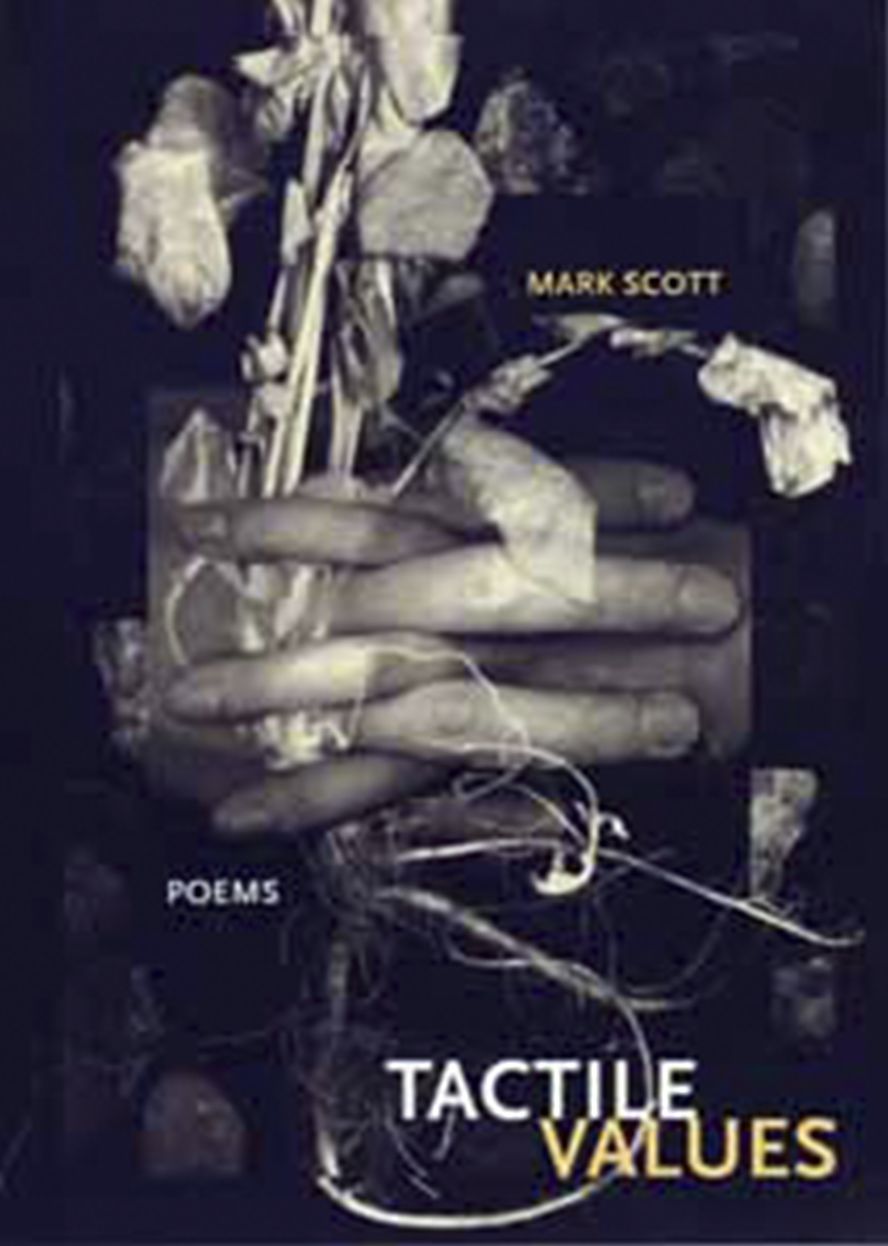 Tactile Values: Poems