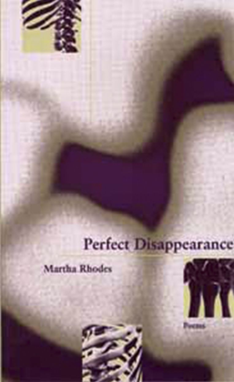 Perfect Disappearance: Poems