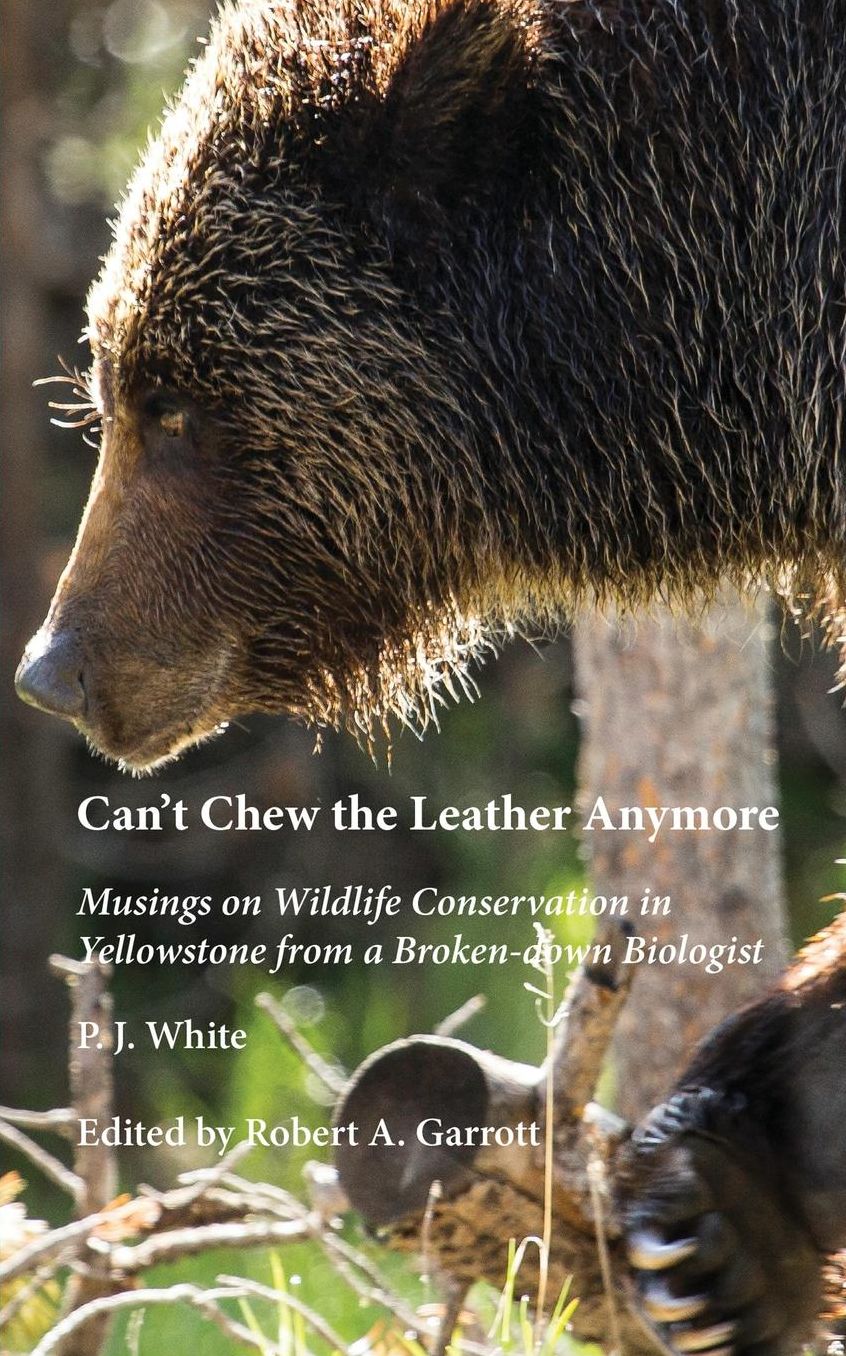 Can't Chew the Leather Anymore: Musings on Wildlife Conservation in Yellowstone from a Broken-down Biologist