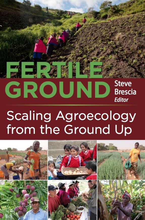 Fertile Ground : Scaling Agroecology from the Ground Up
