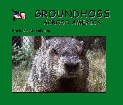 Groundhogs Across America