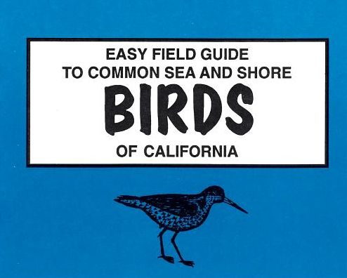 Easy Field Guide To Common Sea & Shore Birds Of California (1995)