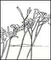 Alex Katz & Robert Creeley: Edges