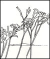 Alex Katz & Robert Creeley: Edges