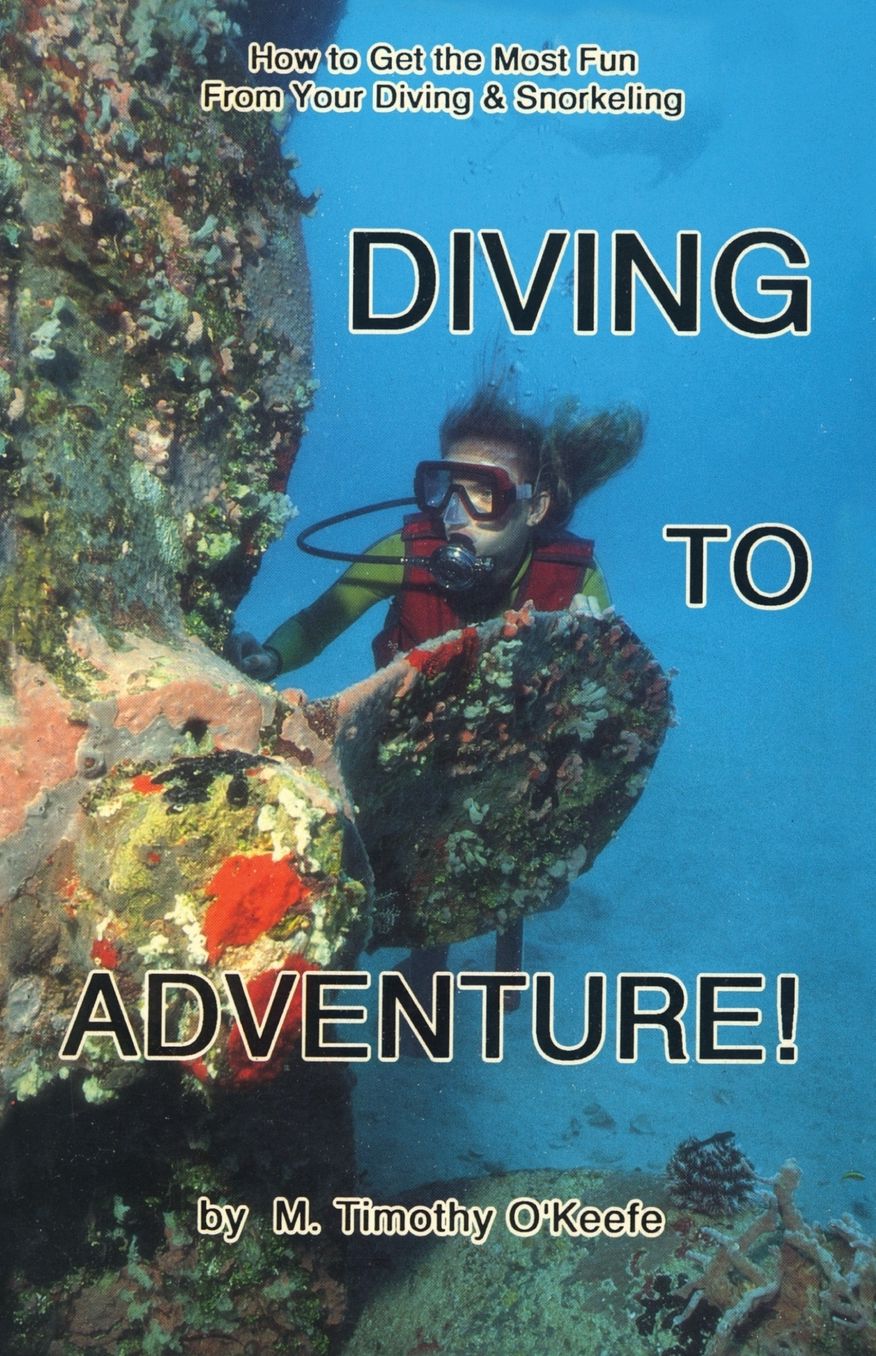 Diving to Adventure