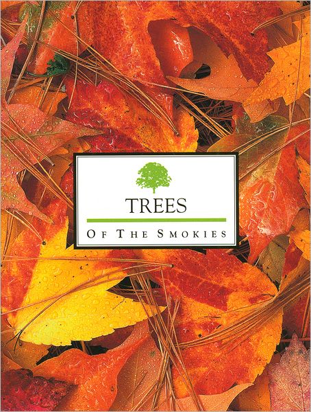 Trees of the Smokies
