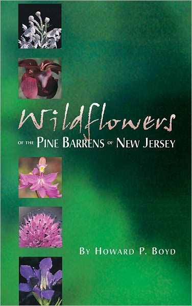Wildflowers of the Pine Barrens of New Jersey