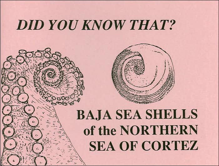 Did You Know That?: Baja Sea Shells of the Northern Sea of Cortez