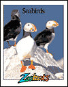 Seabirds (Zoobooks Series)
