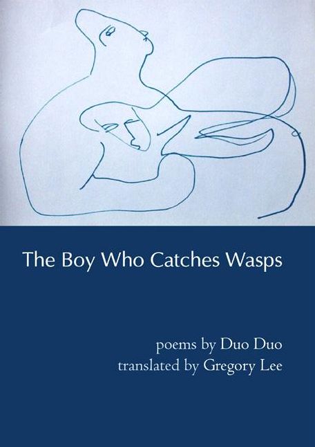 The Boy Who Catches WASPs