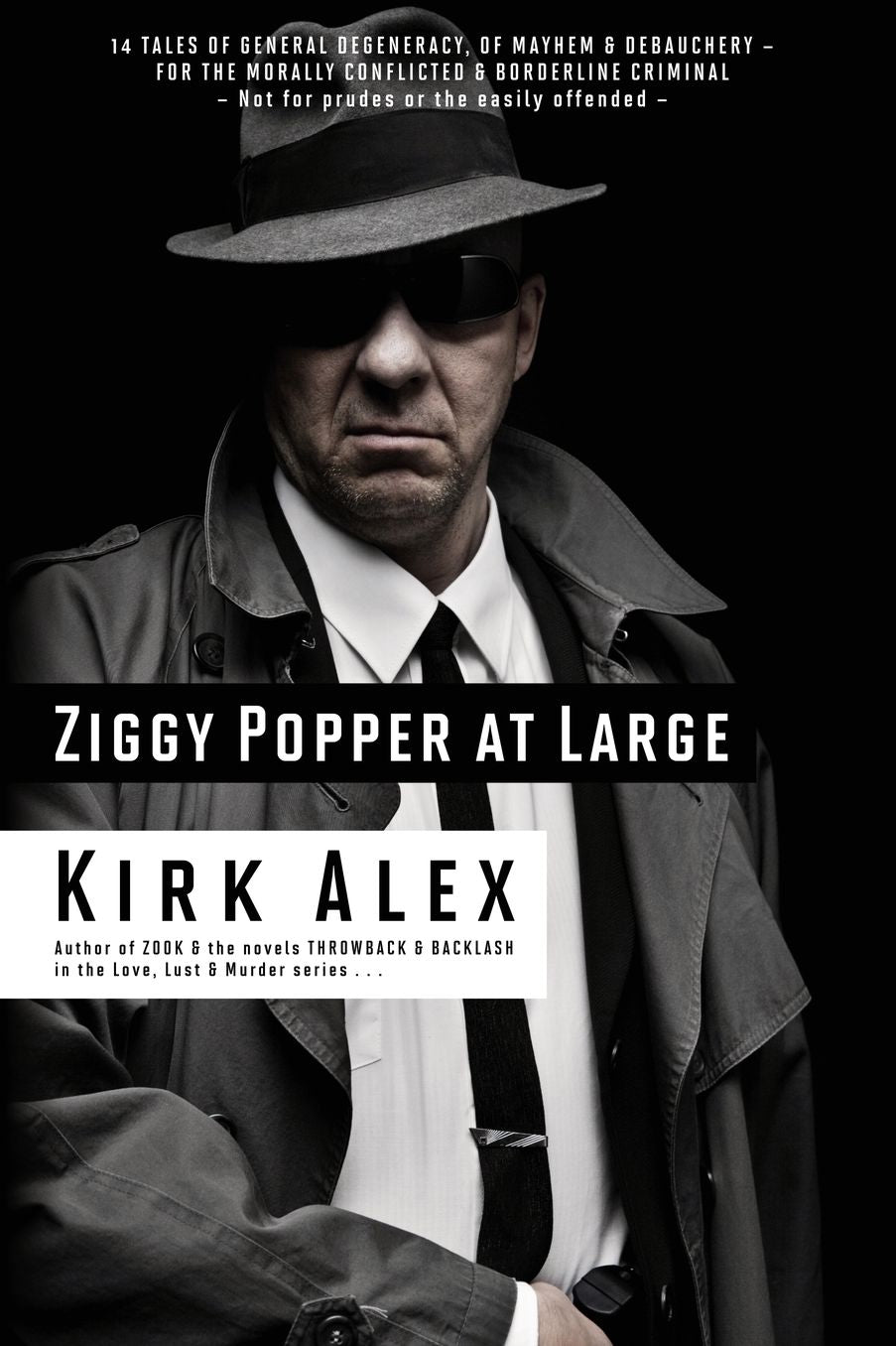 Ziggy Popper at Large: 14 Tales of General Degeneracy, of Mayhem & Debauchery - for the Morally Conflicted & Borderline Criminal