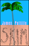 Skim: A Novel