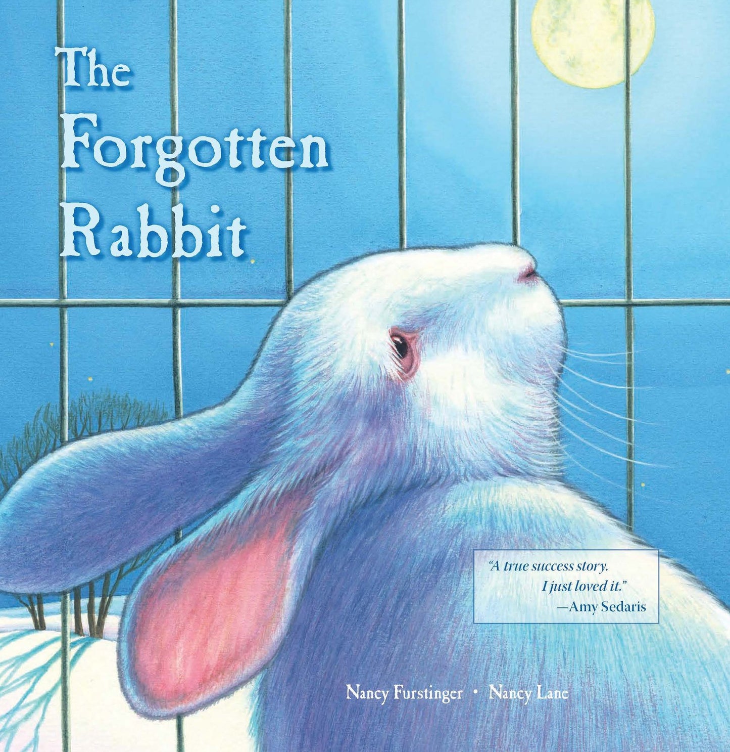 The Forgotten Rabbit