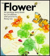 The Flower