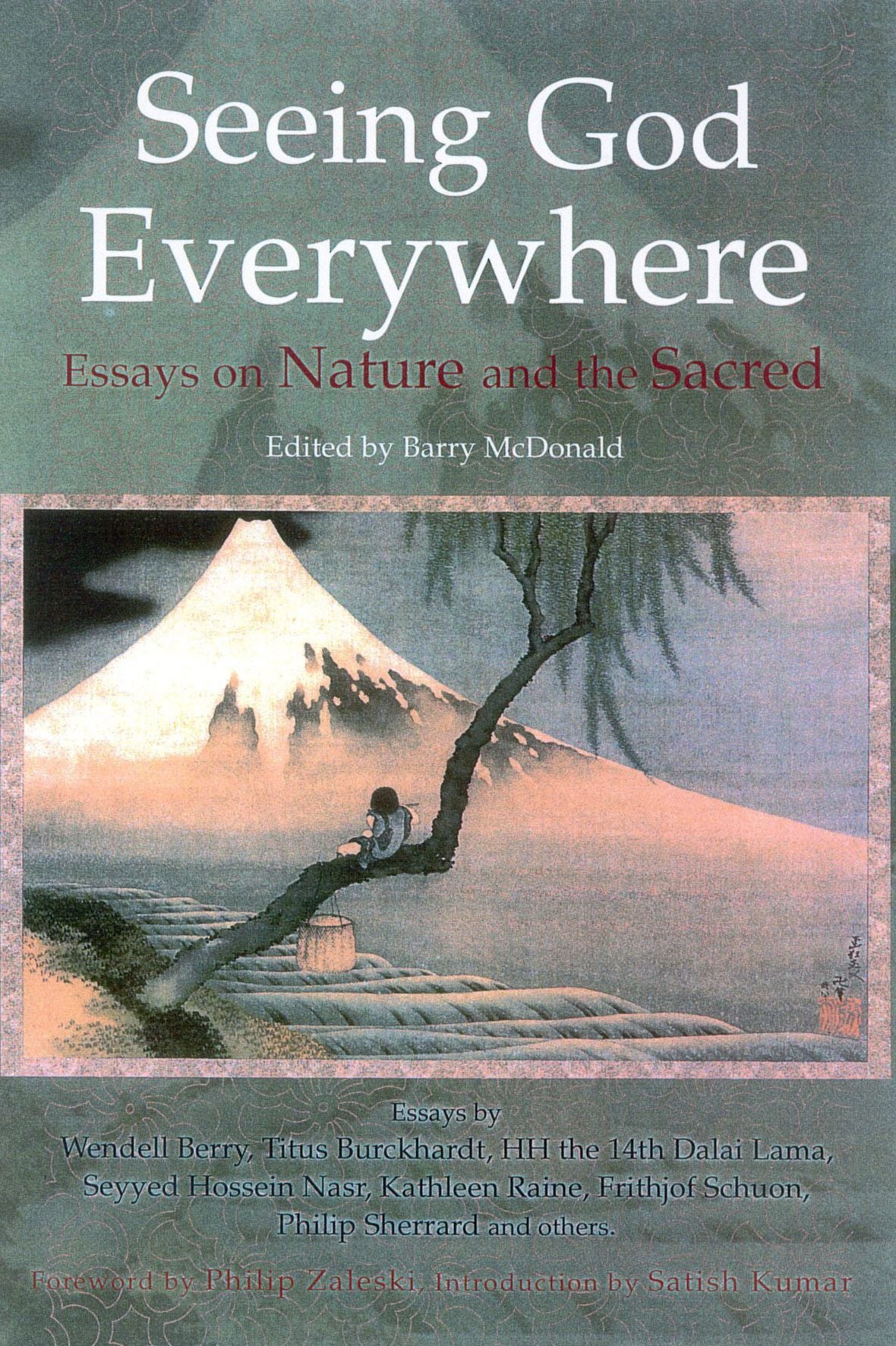 Seeing God Everywhere ( The Perennial Philosophy Series): Essays on Nature and the Sacred