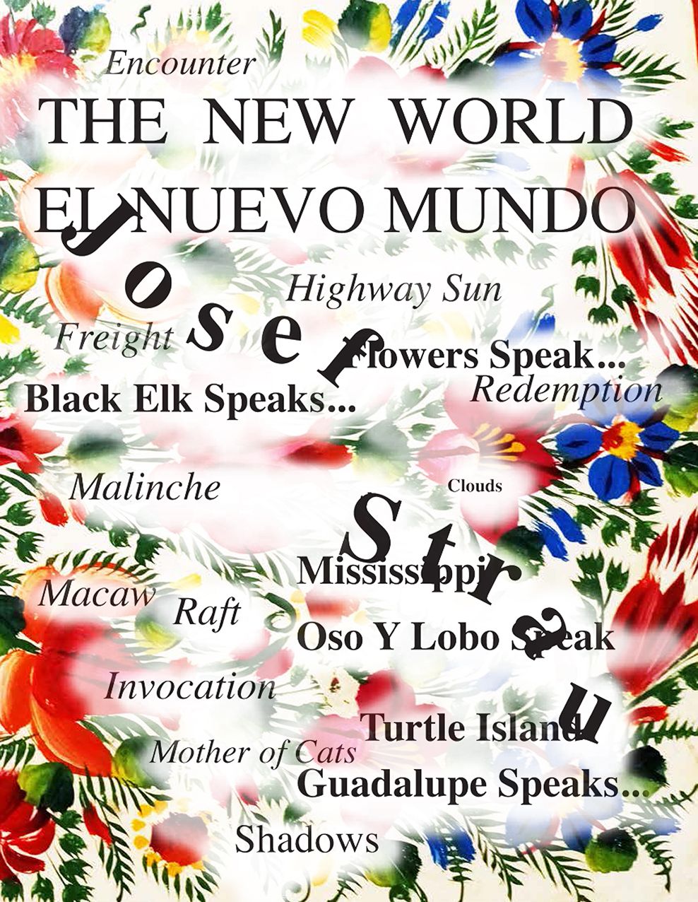 Josef Strau: The New World 2, Travels in Turtle Island