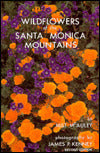 Wildflowers of the Santa Monica Mountains