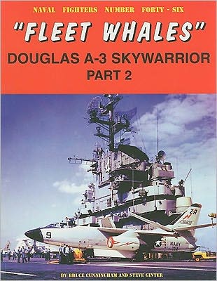 Fleet Whales Douglas A-3 Skywarrior - Part 2