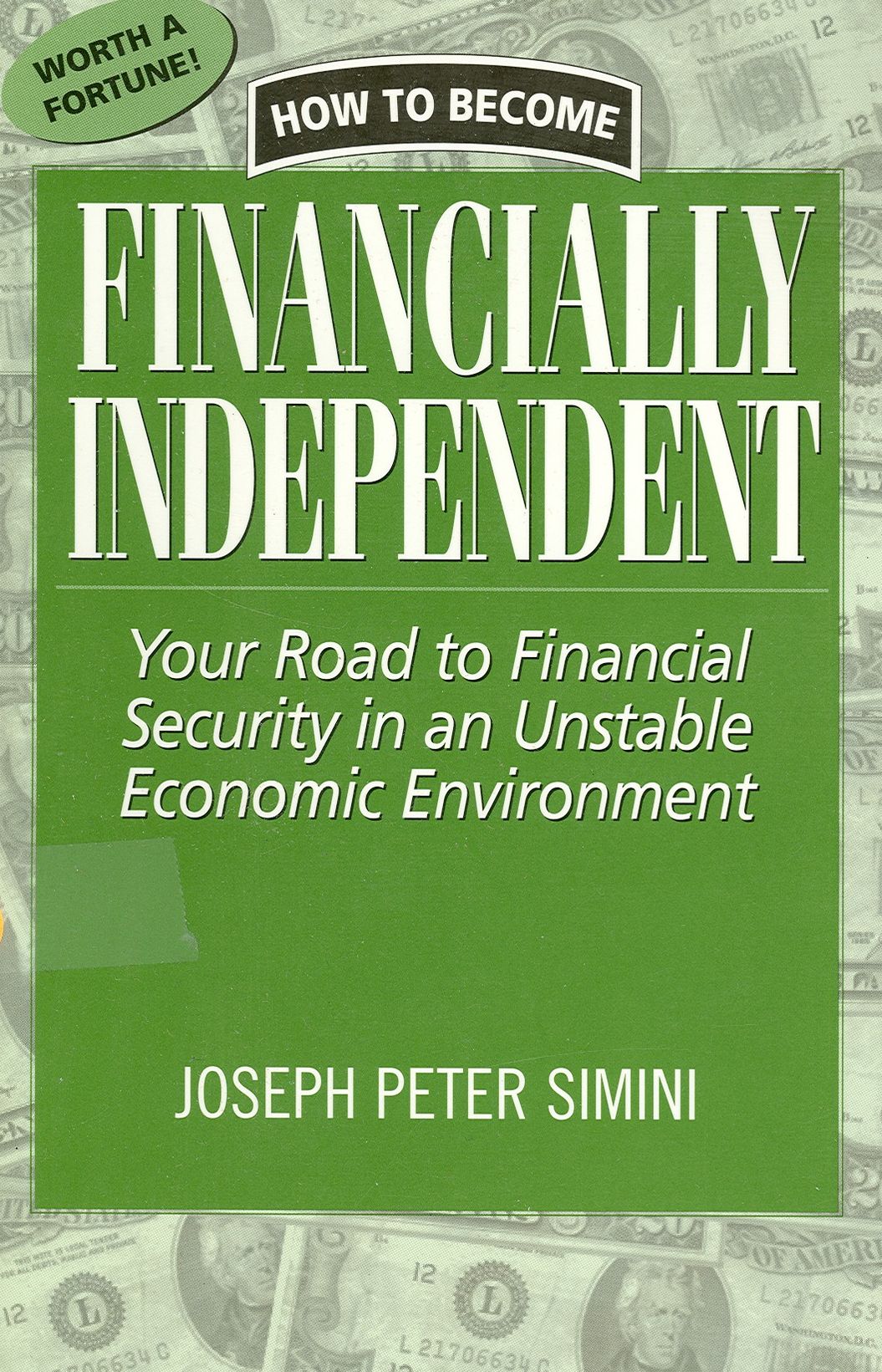 How to Become Financially Independent: Your Road to Financial Security in an Unstable Economic Environment