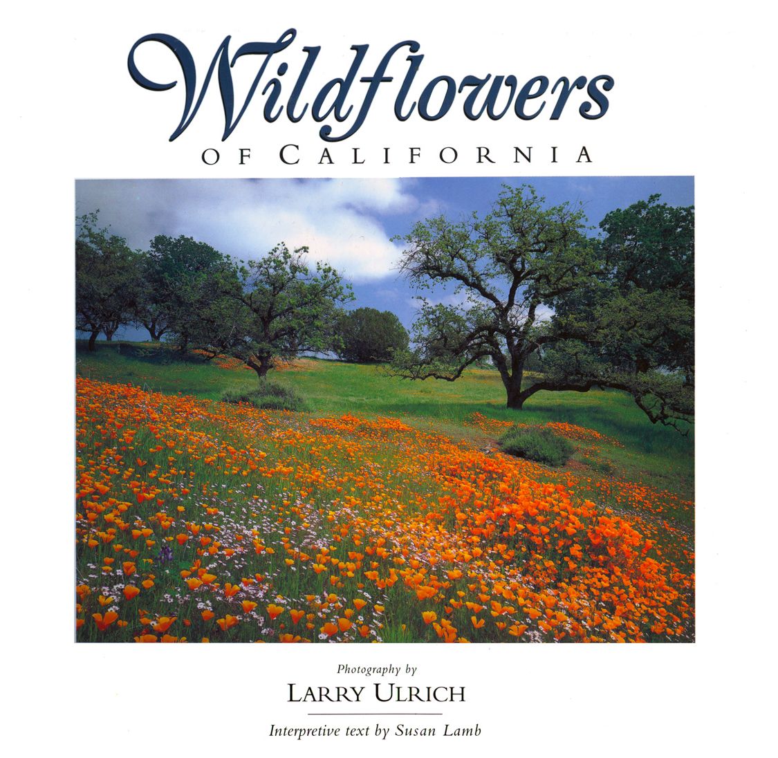 Wildflowers Of California