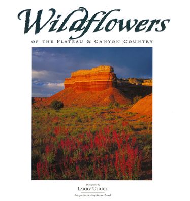 Wildflowers Of The Plateau And Canyon Country