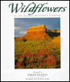Wildflowers Of The Plateau And Canyon Country