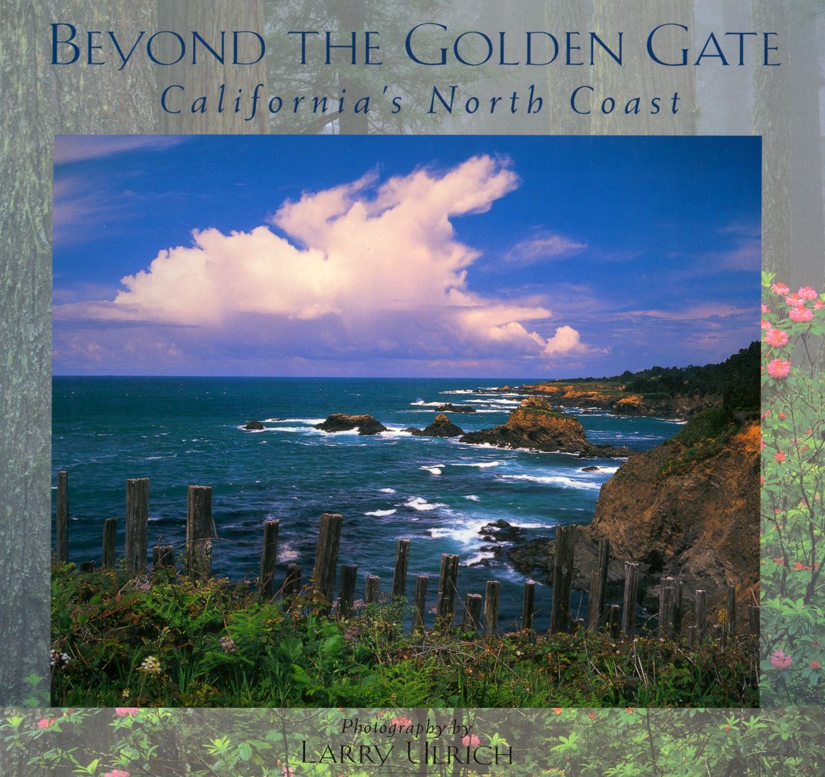 Beyond The Golden Gate: California's North Coast