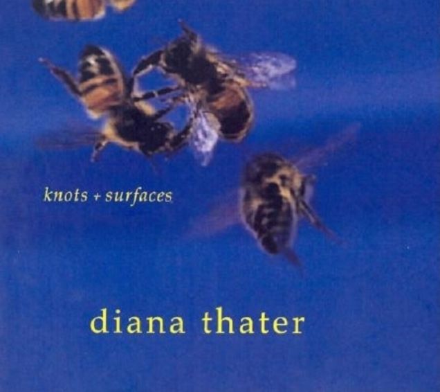 Diana Thater: Knots & Surfaces