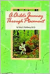 A Child's Journey Through Placement