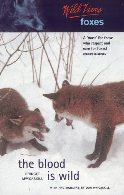 Luath Wildlives Foxes