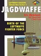 Birth of the Luftwaffe Fighter Force