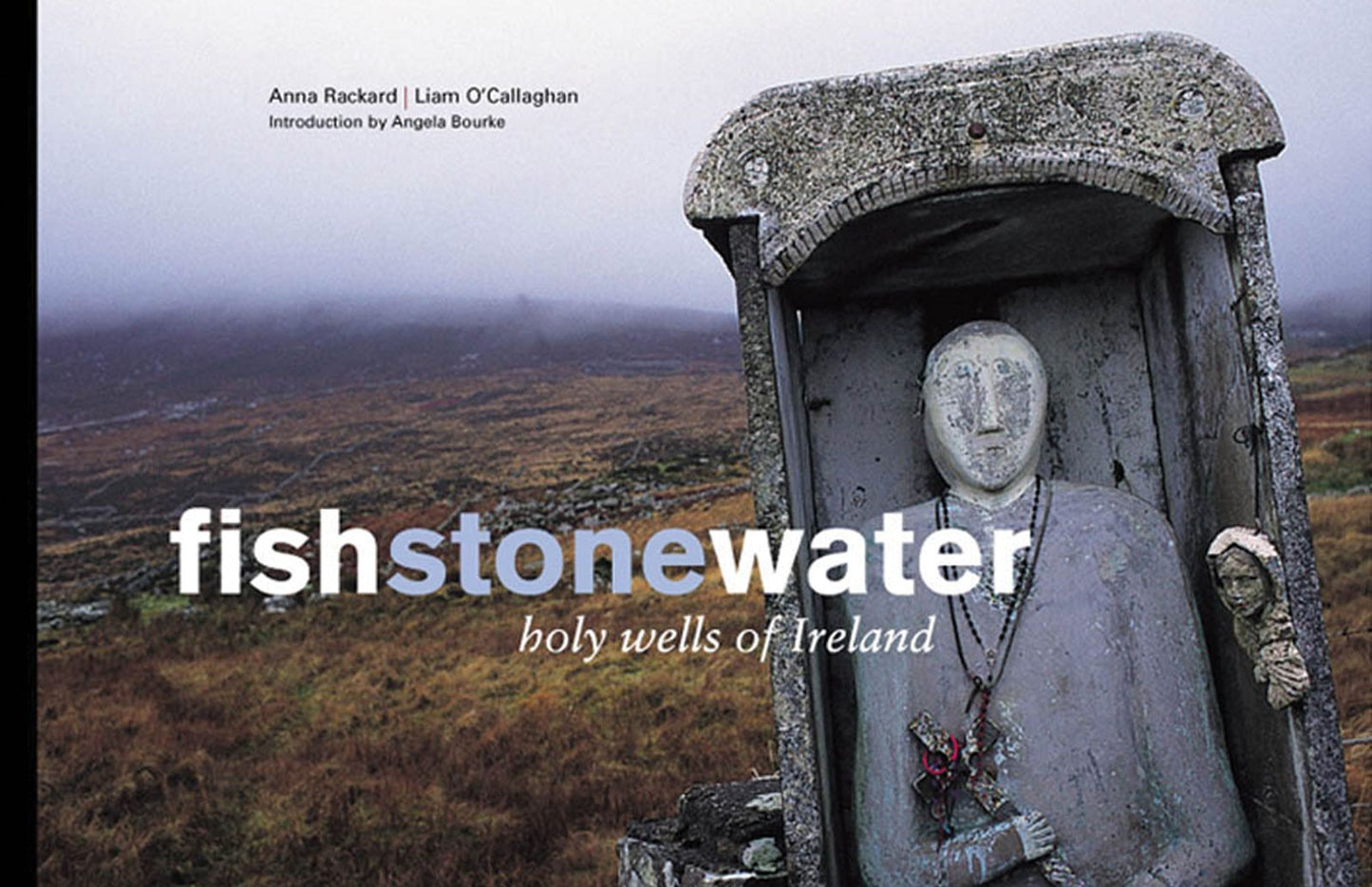 Fish Stone Water: The Holy Wells of Ireland