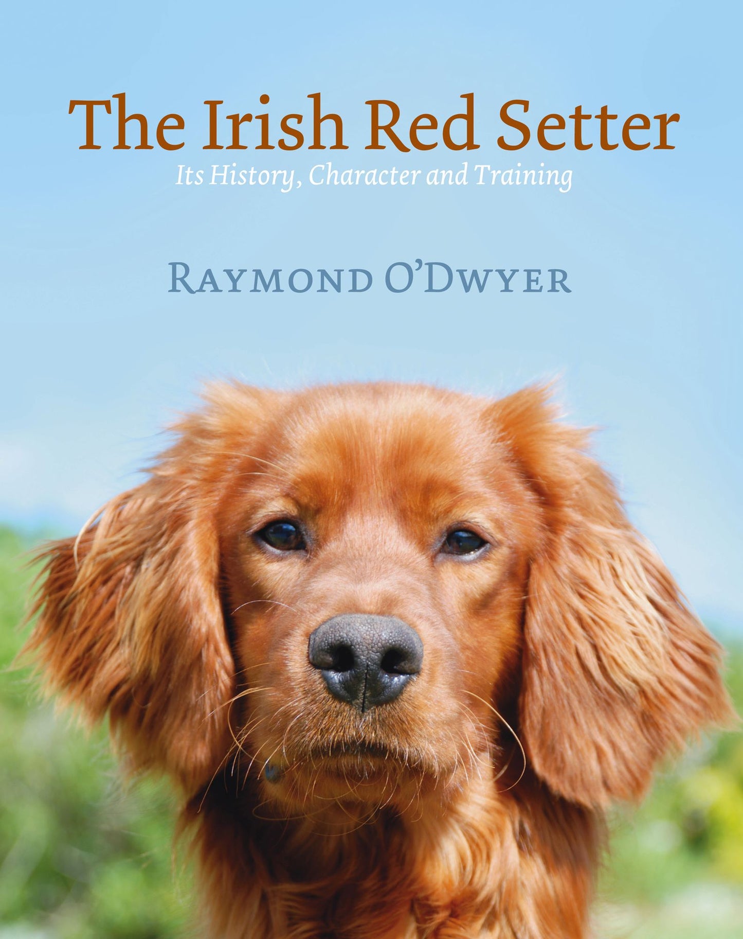 The Irish Red Setter: It's History, Character and Training