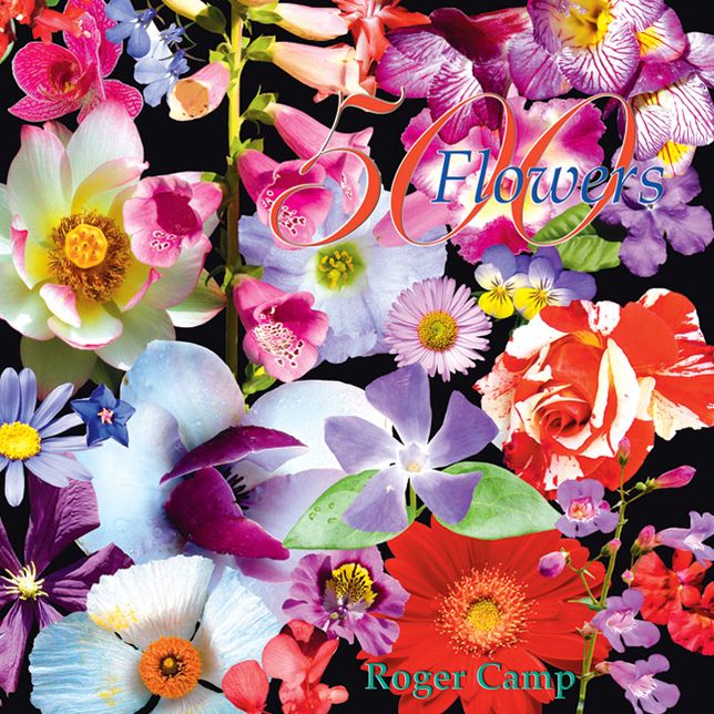 500 Flowers: A celebration of the natural world