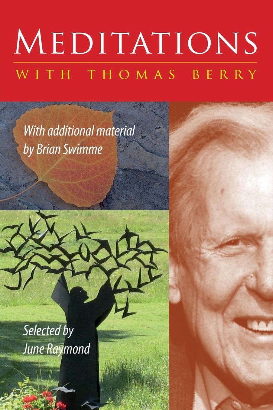 Meditations with Thomas Berry: With Additional Material by Brian Swimme