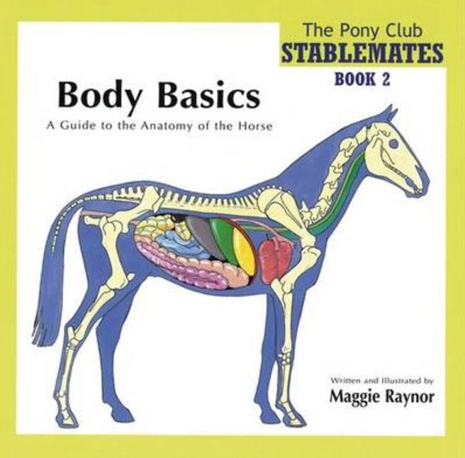 Body Basics (Stablemates Book 2): A Guide to the Anatomy of the Horse