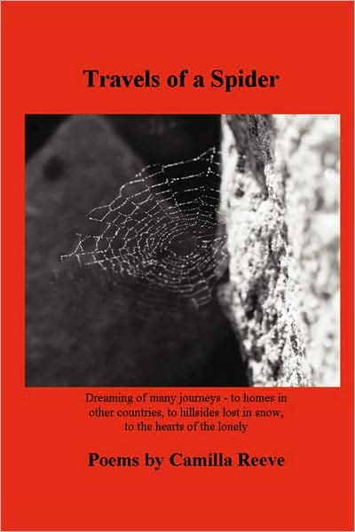 Travels Of A Spider