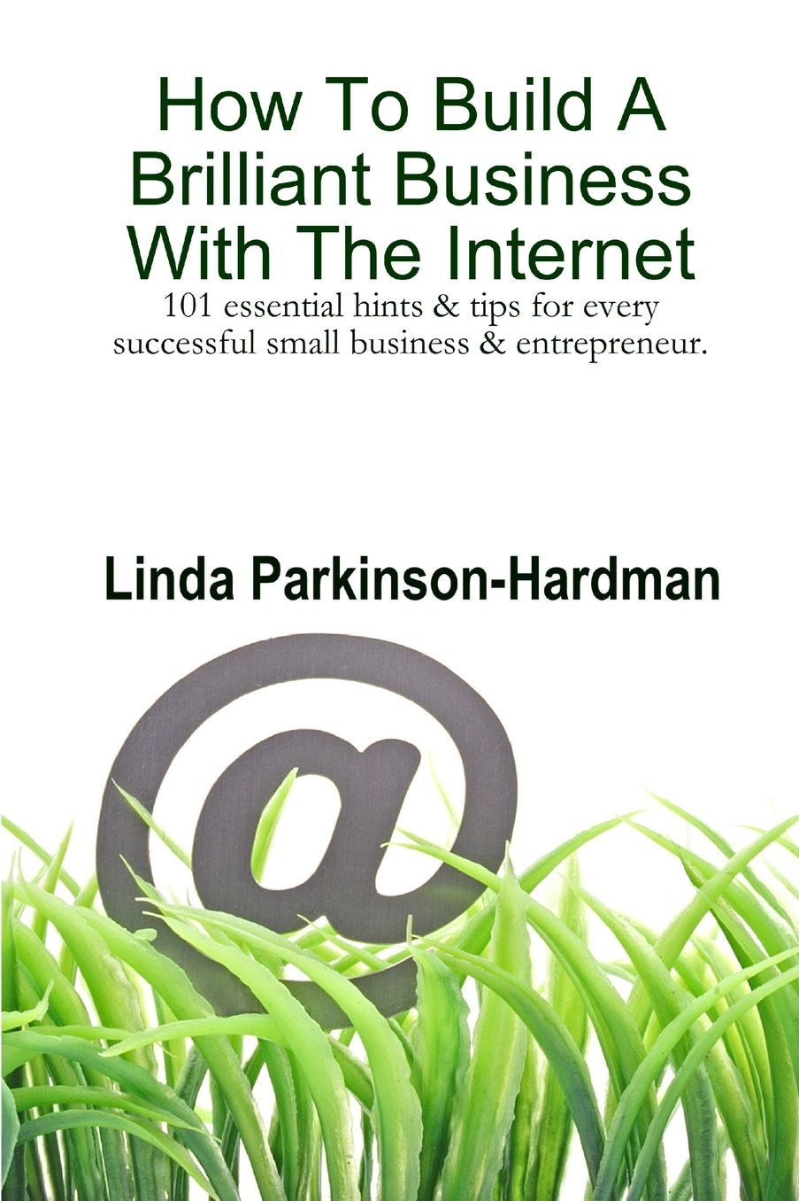 How to Build a Brilliant Business with the Internet: 101 Essential Hints for Every Successful Small Business and Entrepreneur.