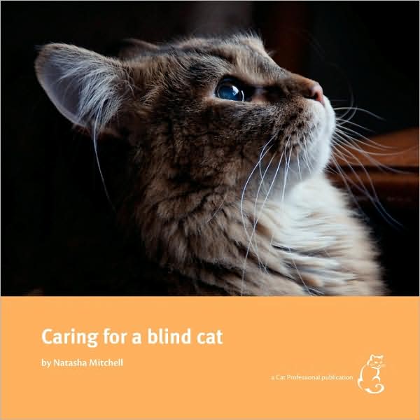 Caring For A Blind Cat