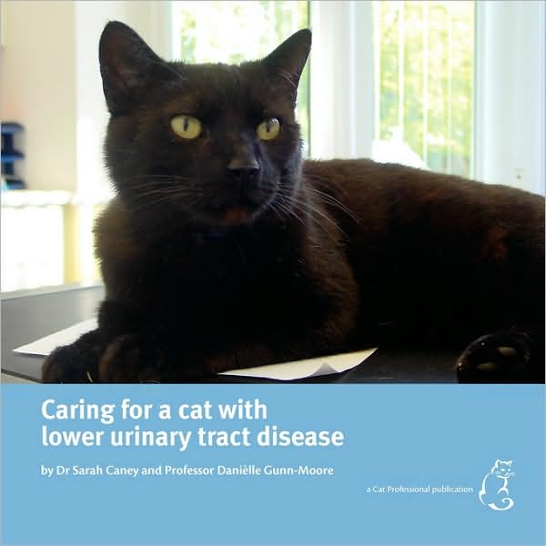 Caring For A Cat With Lower Urinary Tract Disease