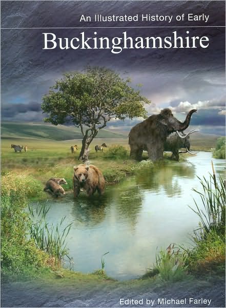 An Illustrated History of Early Buckinghamshire