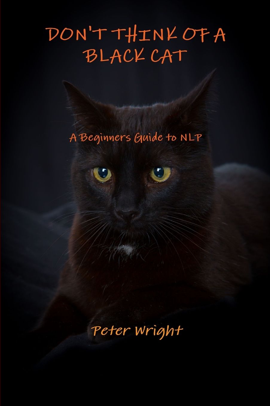 Don'T Think Of A Black Cat