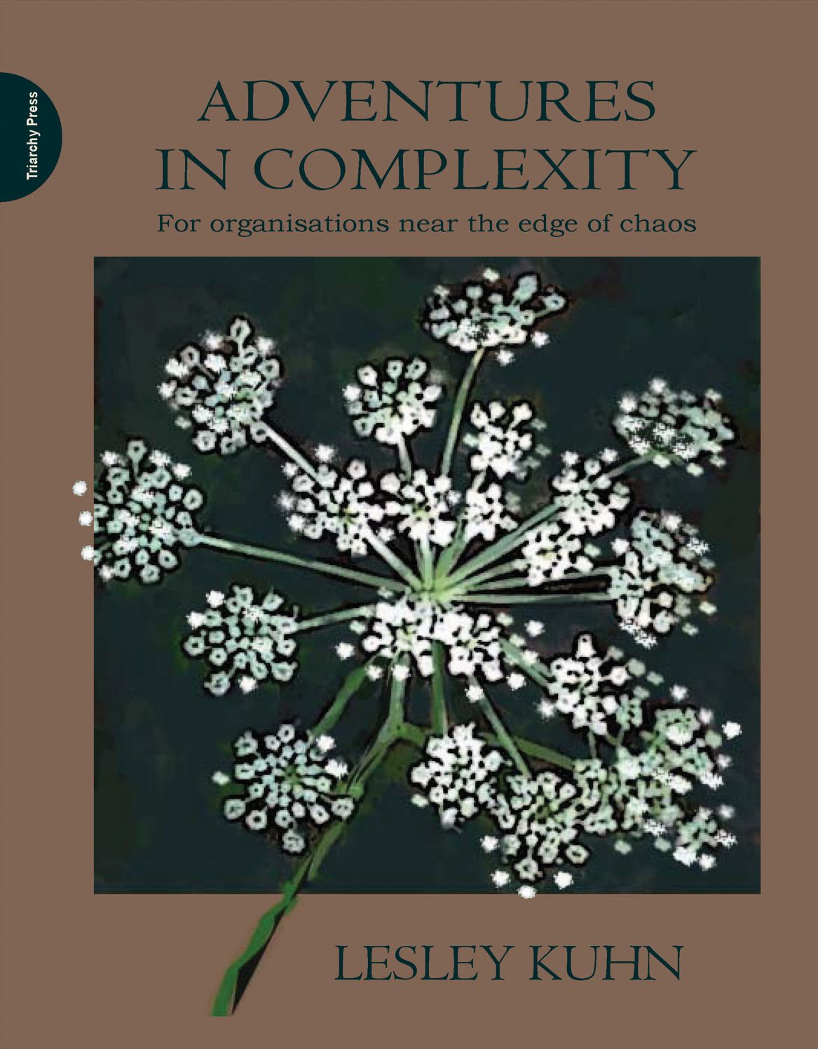 Adventures In Complexity. For Organisations Near The Edge Of Chaos.